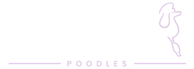 Savoire Faire Poodles
